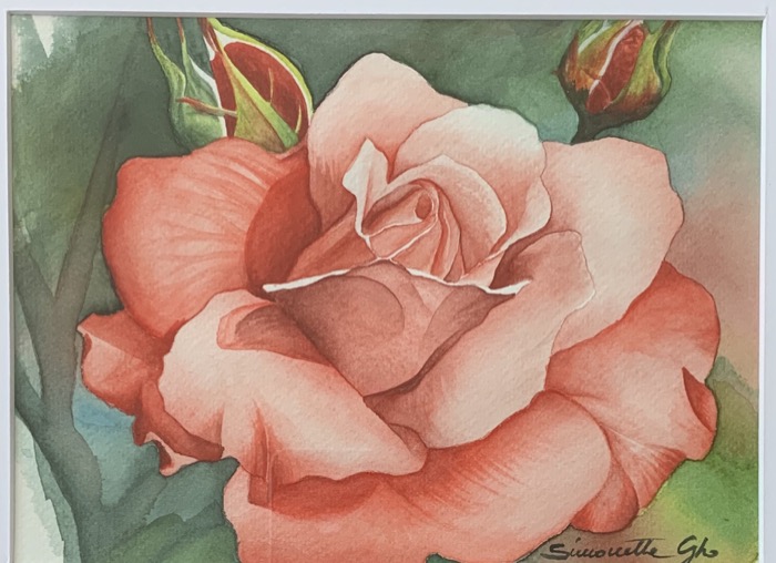 Rose, Watercolor on paper, 18 x 24 cm (7.1 x 9.4 in)