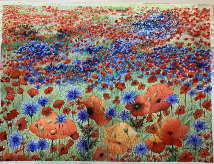 Poppies 2, Watercolor and pastel on paper, 60 x 70 cm (23.6 x 27.6 in)