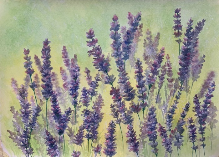 Lavande, Aquarelle sur papier, 70 x 90 cm